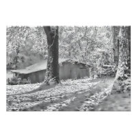 Escena de Nieve Rural con retroiluminación en blan
