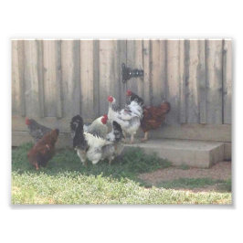 Foto Escena de país