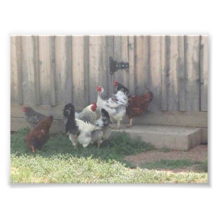 Foto Escena del país