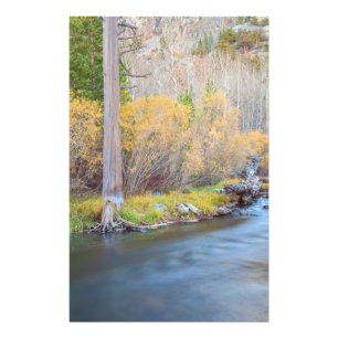 Foto Escena del río Otoño