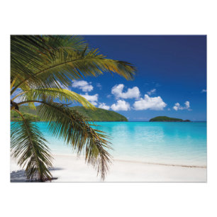 Foto Escenario de playa tropical