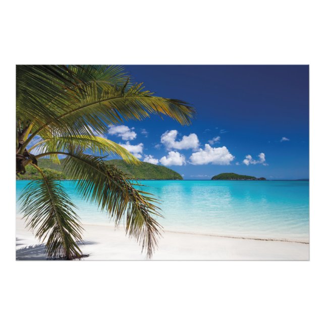 Foto Escenario de playa tropical (Frente)