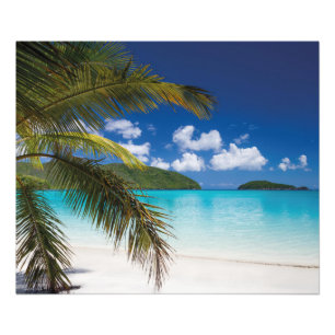 Foto Escenario de playa tropical