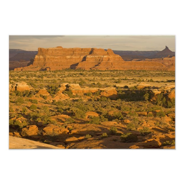 Foto Escenario paisaje del desierto invernal en el cami (Frente)