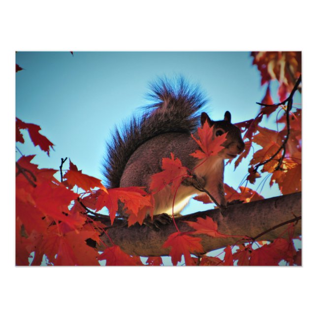 Foto "Escondiéndose a la vista fija" (Frente)