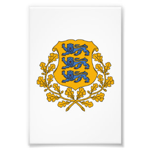 Foto Escudo de armas del país Estonia símbolo emblema b