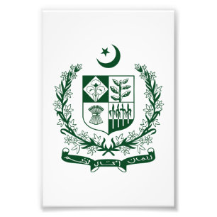Foto escudo de armas símbolo emblema águila de Pakistán