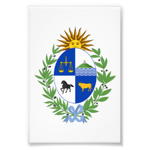 Foto escudo de armas símbolo emblema bandera de Uruguay
