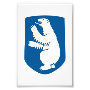 Foto escudo de Groenlandia país símbolo emblema bandera