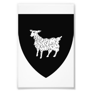 Foto Escudo de Istria en Croacia