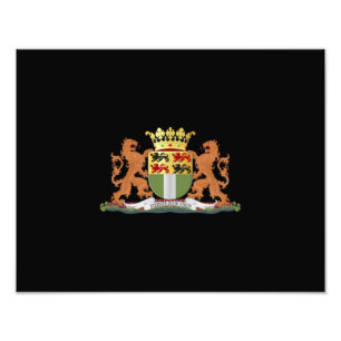 Foto Escudo de Rotterdam