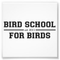 Escuela De Aves Para Aves