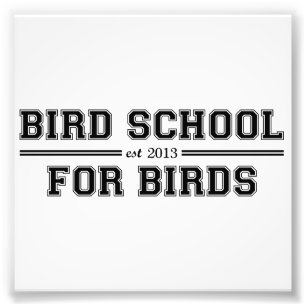 Foto Escuela del pájaro que está para los pájaros