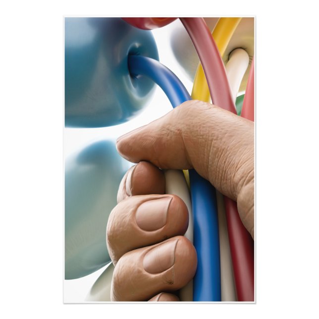 Foto Escultura de Jeff Koons "Bouquet of Tulips" en Par (Frente)