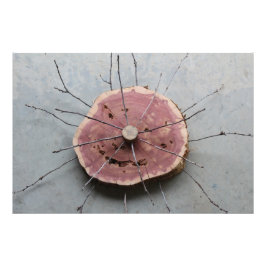 Foto Escultura de la naturaleza del Cedro Rojo Oriental