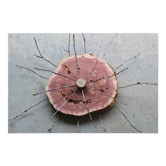 Foto Escultura de la naturaleza del Cedro Rojo Oriental (Frente)