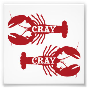Foto Ese cangrejo de Cray Cray crustáceo