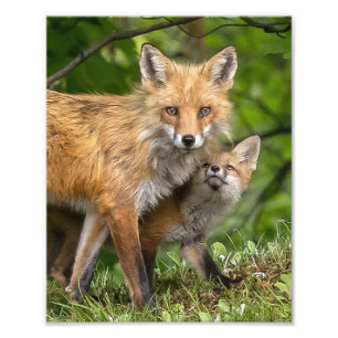 Foto Ese es mi papá