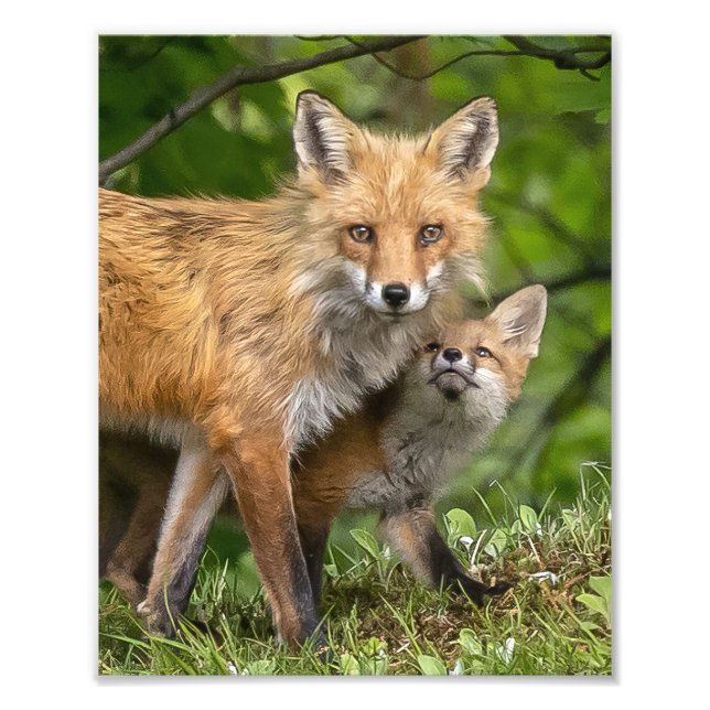 Foto Ese es mi papá (Frente)