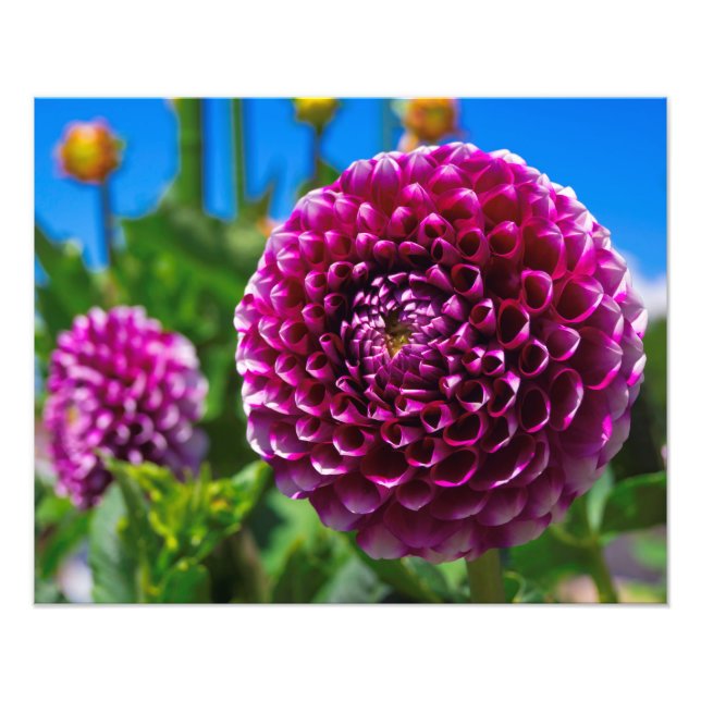 Foto Esférico (Frente)