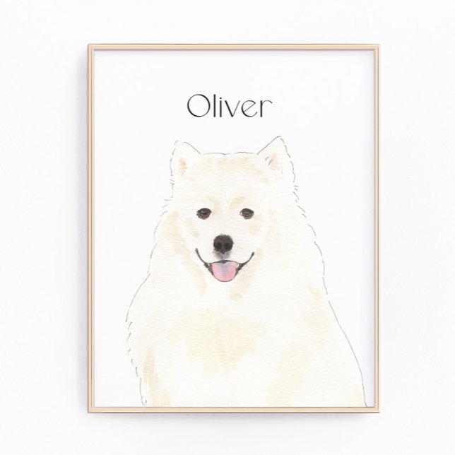 Foto Eskimo Samoyed Dog estadounidense personalizado (Subido por el creador)