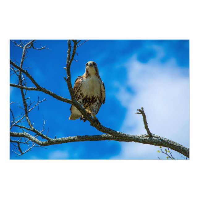 Foto ESOS OJOS 36 X 24 Kodak Pro Photo (Frente)