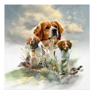 Foto Españoles de Bretaña , Bretaña francesa , Perro de