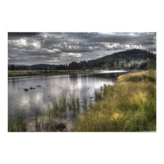 Foto Espantador verde