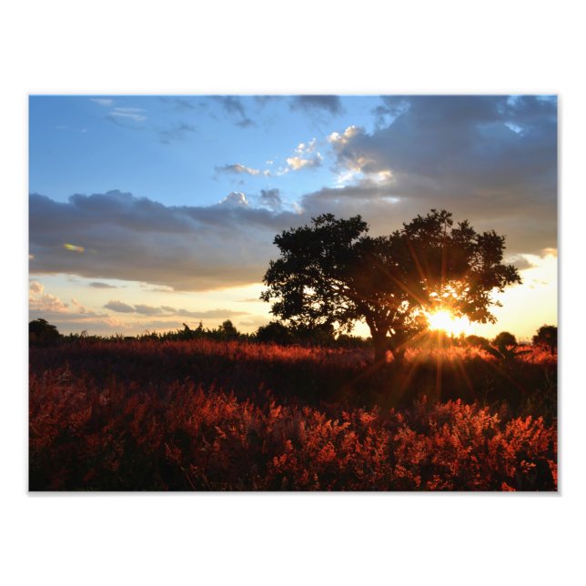 Foto Espectacular atardecer africano (Frente)