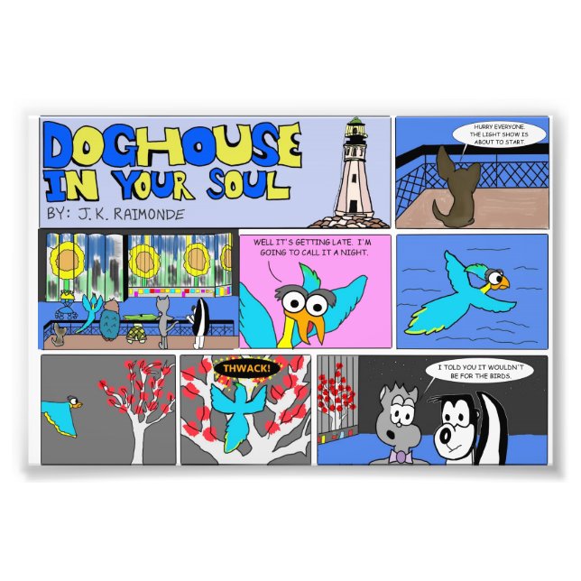 Foto Espectáculo de luz de búfalo (Frente)