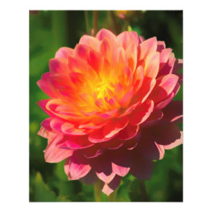 Foto Espectáculo de verano