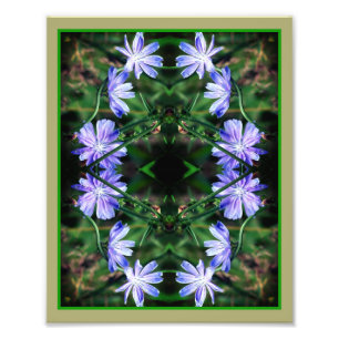 Foto Espejo de flores de achicoria salvajes azules de 8