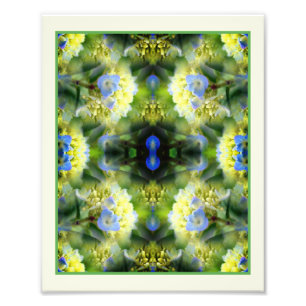 Foto Espejo de las flores de hidrangea azul Resumen 8x1
