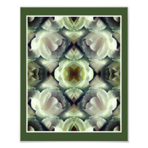 Foto Espejo Floral de rosa blanca Resumen Art 8x10