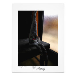 Foto Esperando