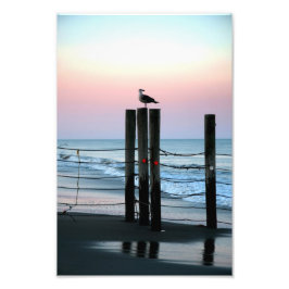 Foto Esperando al atardecer