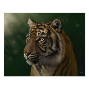 Foto Esperando el amanecer - Gretchen Bartz