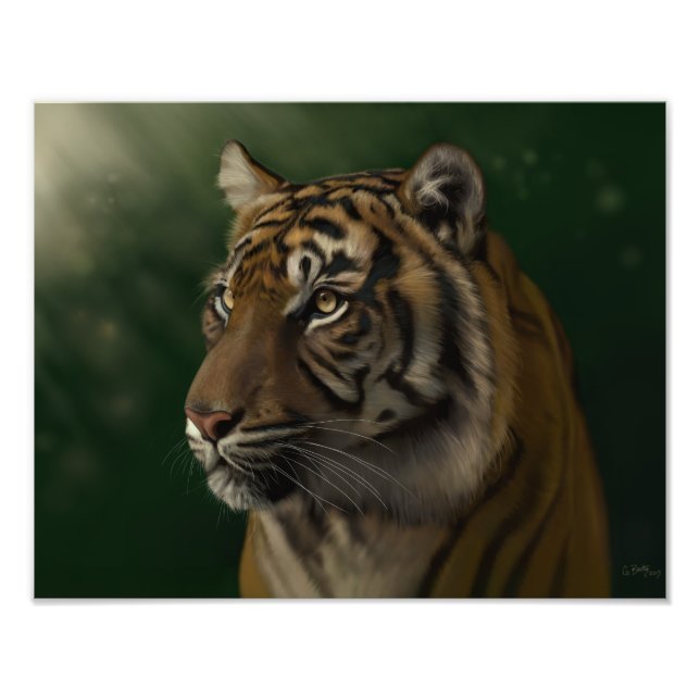 Foto Esperando el amanecer - Gretchen Bartz (Frente)