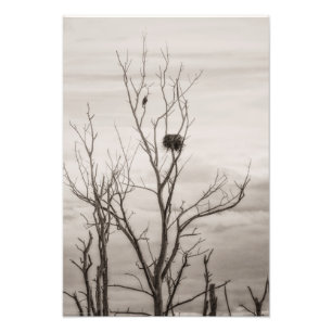 Foto Esperando por la vida