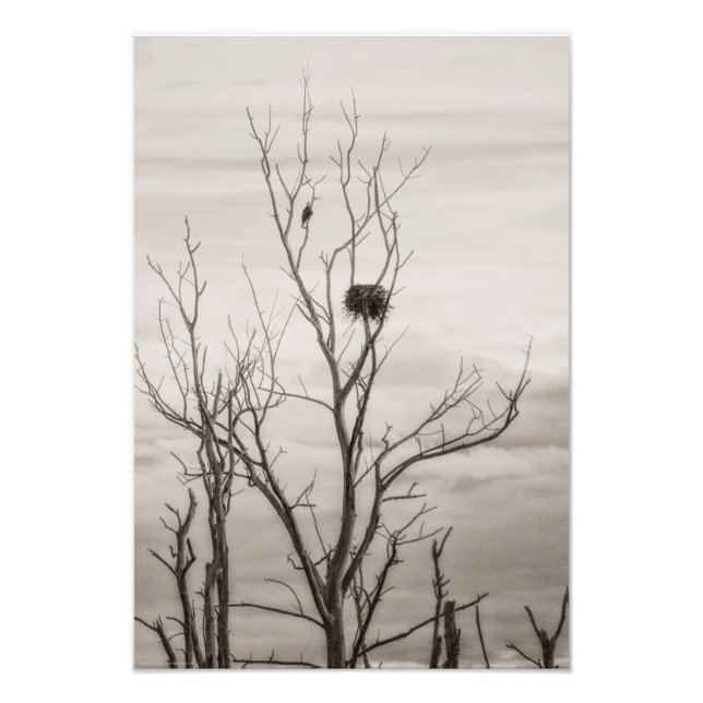 Foto Esperando por la vida (Frente)