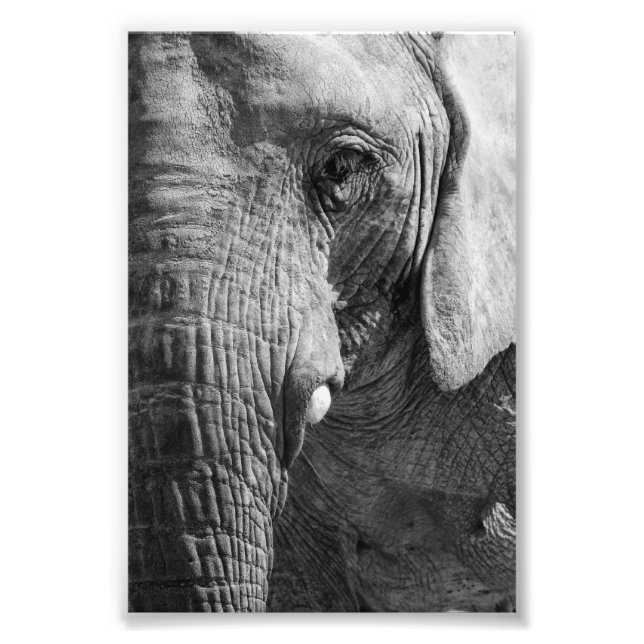 Foto Espía ocular (Frente)