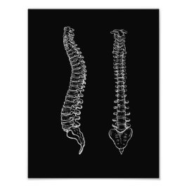 Foto Espina de anatomía humana, blanco y negro