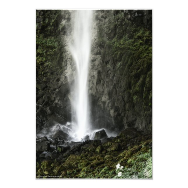 Foto Espíritu de la cuenca (Frente)