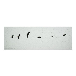 Foto Espíritu del vuelo