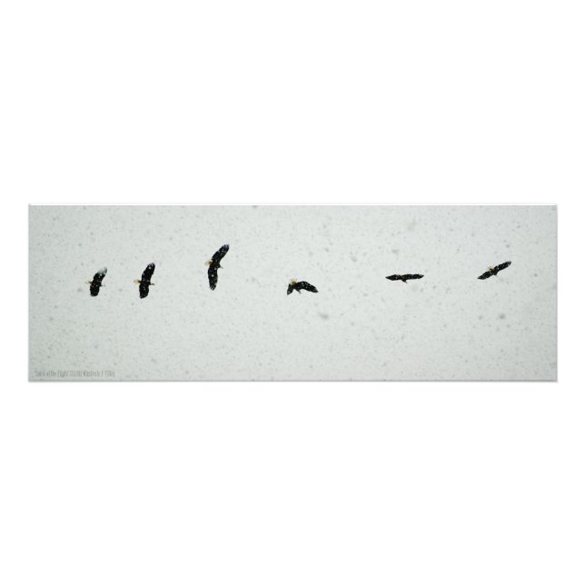 Foto Espíritu del vuelo (Frente)