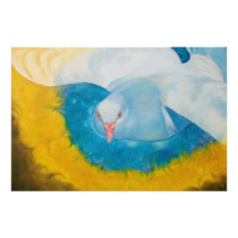 Foto Espíritu Santo