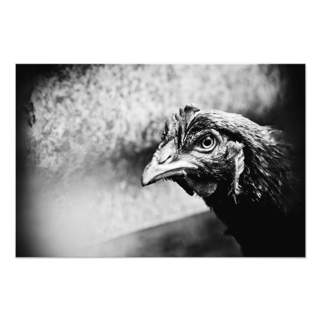 Foto espíritus y pollos (Frente)
