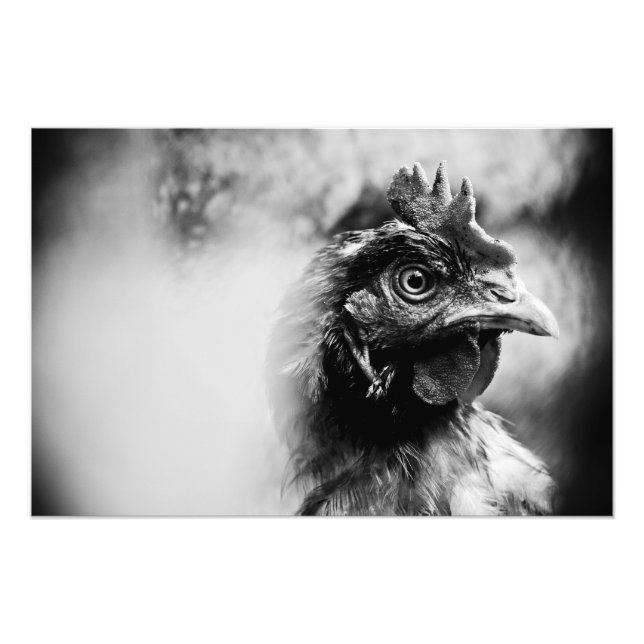 Foto espíritus y pollos 2 (Frente)