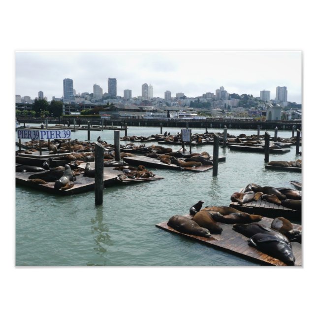 Foto Esquina de San Francisco y Pier 39 Sea Lions City (Frente)