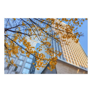 Foto Esquina del árbol otoñal y el paisaje urbano